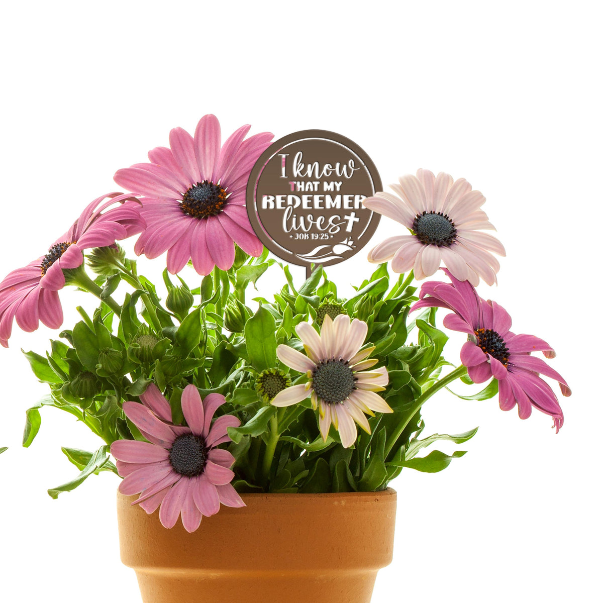 Outdoor Christian Easter Metal Yard Stake - Christian Gift - Pastor Gift - Bible Verse Art - Job 19:25